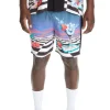 Dreamscape Shorts-Teddy Fresh Online