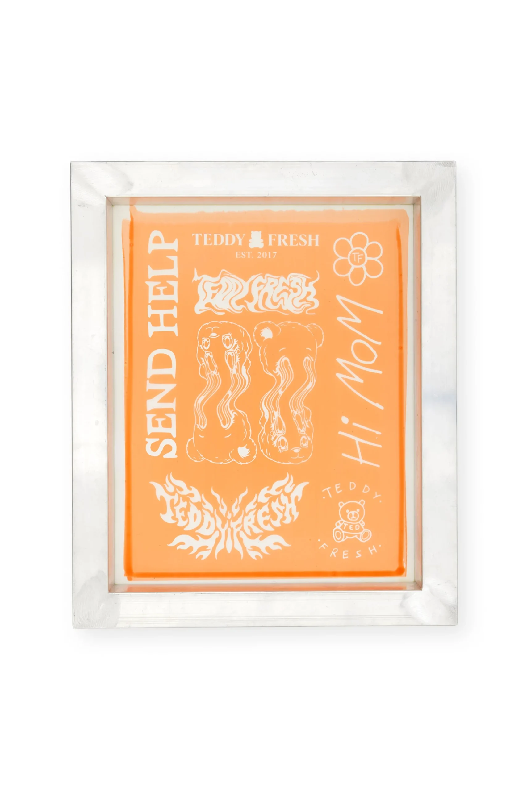 TF First Ever D.I.Y. Screen Print Kit-Teddy Fresh Outlet